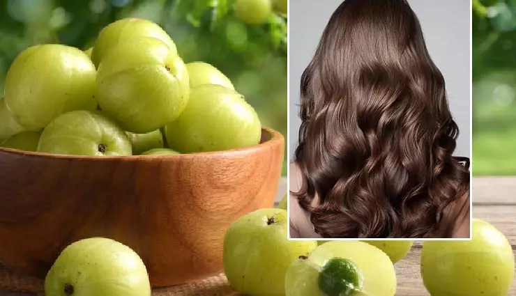 Hair Care: बालों में आंवला लगाने के हैं कई फायदे, लेकिन इन बातों का रखें ध्यान Hair Care: बालों में आंवला लगाने के हैं कई फायदे, लेकिन इन बातों का रखें ध्यान