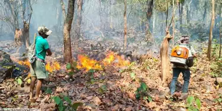 जंगल की आग विकराल रूप धारण कर गंजम के 13 और इलाकों में फैल गई जंगल की आग विकराल रूप धारण कर गंजम के 13 और इलाकों में फैल गई