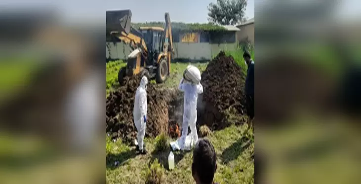 बर्ड फ्लू की पुष्टि के बाद पूरे राज्य में अलर्ट, 10 किमी के दायरे में पोल्ट्री प्रोडक्ट की बिक्री पर रोक बर्ड फ्लू की पुष्टि के बाद पूरे राज्य में अलर्ट, 10 किमी के दायरे में पोल्ट्री प्रोडक्ट की बिक्री पर रोक