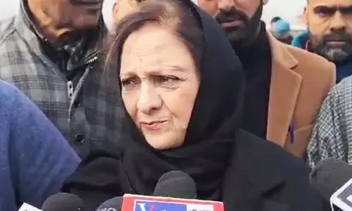 शमीमा फिरदौस ने बजट की तारीफ की शमीमा फिरदौस ने बजट की तारीफ की