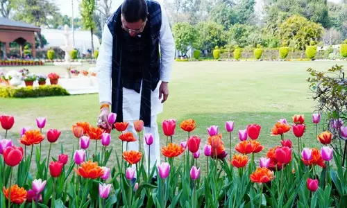 उत्तराखंड सरकार बागवानी और फूलों की खेती को बढ़ावा देने के लिए काम कर रही है: CM Dhami