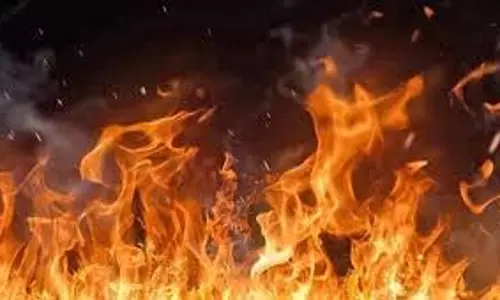 MP News: होटल में लगी आग, फर्नीचर व अन्य सामान जला