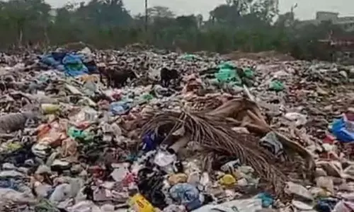 रंजीत एवेन्यू के निवासियों ने इलाके से डंपयार्ड को स्थानांतरित करने की मांग की रंजीत एवेन्यू के निवासियों ने इलाके से डंपयार्ड को स्थानांतरित करने की मांग की