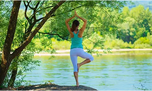 Yoga Tips: अगर आपको भी बहुत नींद आती है तो करें ये योगासन, दिनभर रहेंगे ऊर्जावान Yoga Tips: अगर आपको भी बहुत नींद आती है तो करें ये योगासन, दिनभर रहेंगे ऊर्जावान