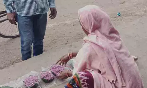 क्योंझर में गिलिरीफुला की मांग बढ़ी