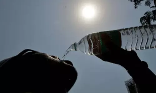 Kerala भीषण गर्मी से तप रहा है; विशेषज्ञों ने कड़ाके की गर्मी की चेतावनी दी