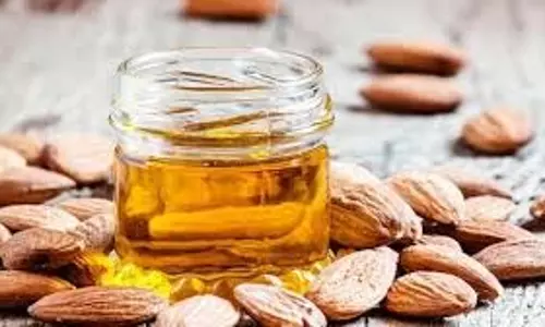 Skin Care Oil: रात को सोते समय चेहरे पर इस तरह लगाएं बादाम का तेल, आएगा कमाल का निखार Skin Care Oil: रात को सोते समय चेहरे पर इस तरह लगाएं बादाम का तेल, आएगा कमाल का निखार