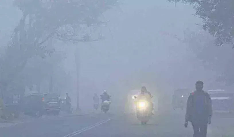 Telangana : आदिलाबाद के कुछ हिस्सों में न्यूनतम तापमान में भारी गिरावट, कोहरा छाया