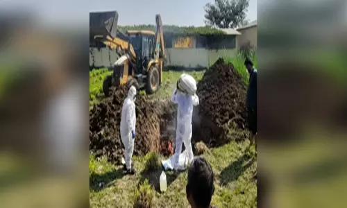 बर्ड फ्लू की पुष्टि के बाद पूरे राज्य में अलर्ट, 10 किमी के दायरे में पोल्ट्री प्रोडक्ट की बिक्री पर रोक