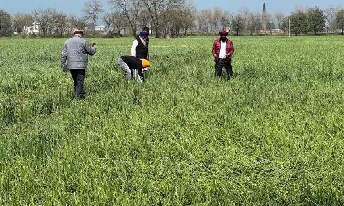 Punjab : कृषि क्षेत्र को विदेशी निवेशकों के लिए न खोलें एसकेएम Punjab : कृषि क्षेत्र को विदेशी निवेशकों के लिए न खोलें एसकेएम
