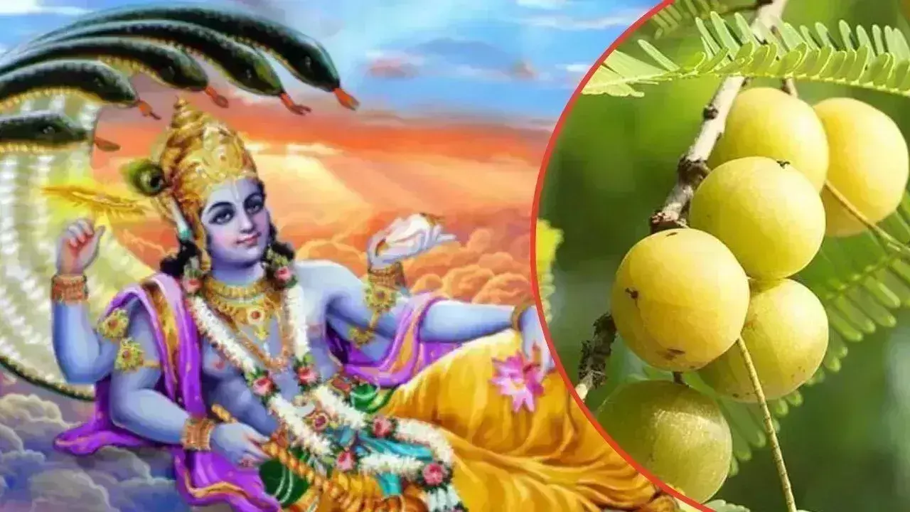 Amalaki Ekadashi कल, जानिए महत्व