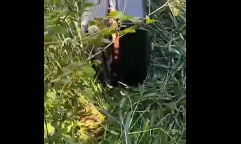 बदबू आ रही थी खेत में पड़े सूटकेस से VIDEO, खोलने पर मिली लाश बदबू आ रही थी खेत में पड़े सूटकेस से VIDEO, खोलने पर मिली लाश
