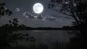 Falgun Purnima 2025 : आ रही है फाल्गुन पूर्णिमा, जानें स्नान-दान का शुभ मुहूर्त Falgun Purnima 2025 : आ रही है फाल्गुन पूर्णिमा, जानें स्नान-दान का शुभ मुहूर्त