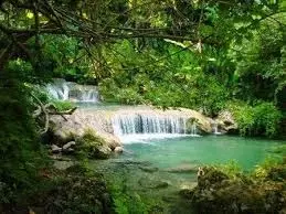 Lifestyle: घूमने के लिए ये हैं खूबसूरत जगहें, जानें यहां Lifestyle: घूमने के लिए ये हैं खूबसूरत जगहें, जानें यहां