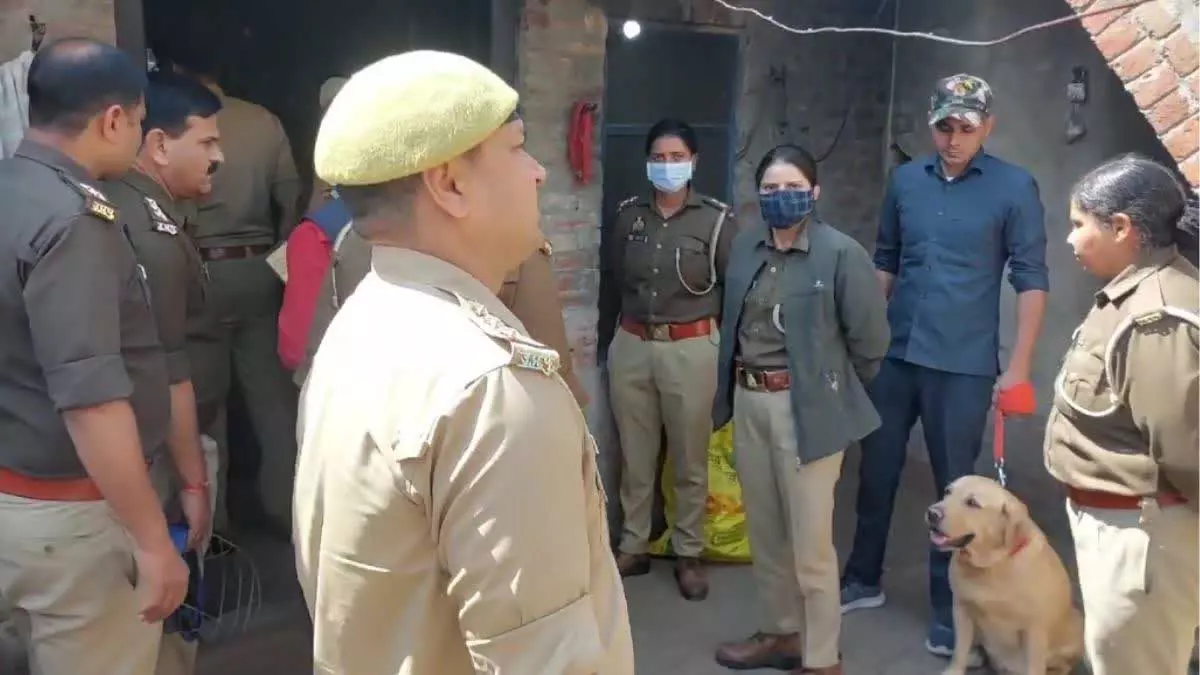 OMG! पिता ने बेटी और उसके प्रेमी को मार डाला, आपत्तिजनक स्थिति में पकड़ाए OMG! पिता ने बेटी और उसके प्रेमी को मार डाला, आपत्तिजनक स्थिति में पकड़ाए