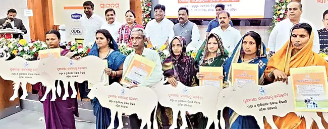 मुख्यमंत्री कामधेनु योजना किसानों को प्रोत्साहन राशि वितरित करने का कार्यक्रम आयोजित किया मुख्यमंत्री कामधेनु योजना किसानों को प्रोत्साहन राशि वितरित करने का कार्यक्रम आयोजित किया