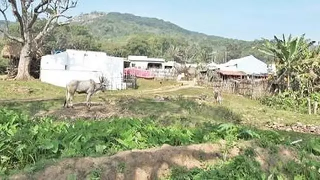 Tamil Nadu: एक आदिवासी गांव जो आधी सदी से अंधकार में जी रहा Tamil Nadu: एक आदिवासी गांव जो आधी सदी से अंधकार में जी रहा