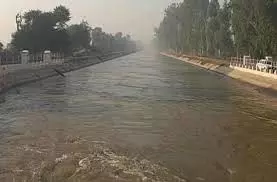 Haryana : नहर में मिली ऐसी चीज, दंग रह गई पुलिस Haryana : नहर में मिली ऐसी चीज, दंग रह गई पुलिस