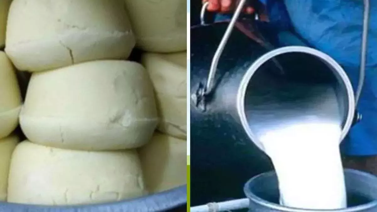 Ballia: होली से पहले खाद्य विभाग ने विभिन्न बाजारों से खाद्य पदार्थों के नमूने लिए Ballia: होली से पहले खाद्य विभाग ने विभिन्न बाजारों से खाद्य पदार्थों के नमूने लिए