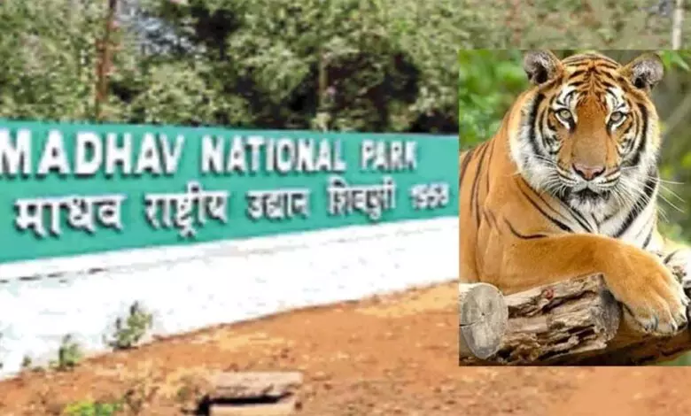 Bhopal: सतपुड़ा टाइगर रिजर्व के मड़ई में 3 दिवसीय 7वें पक्षी सर्वे की शुरूआत हुई Bhopal: सतपुड़ा टाइगर रिजर्व के मड़ई में 3 दिवसीय 7वें पक्षी सर्वे की शुरूआत हुई