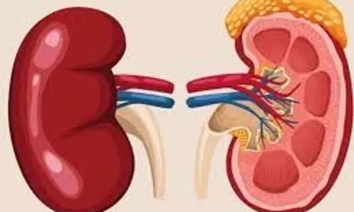 Health: किडनी स्टोन का आयुर्वेदिक इलाज, मिश्री के साथ इस तरह खाएं ये पत्ता Health: किडनी स्टोन का आयुर्वेदिक इलाज, मिश्री के साथ इस तरह खाएं ये पत्ता