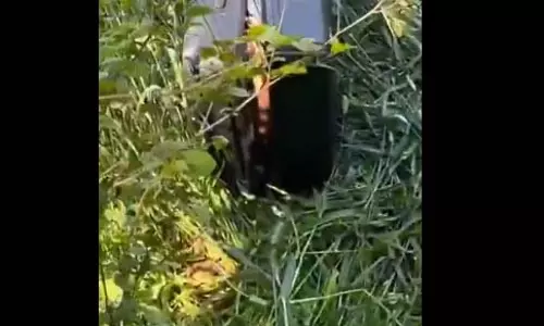 बदबू आ रही थी खेत में पड़े सूटकेस से VIDEO, खोलने पर मिली लाश बदबू आ रही थी खेत में पड़े सूटकेस से VIDEO, खोलने पर मिली लाश