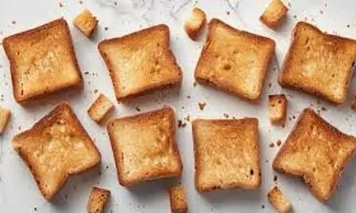Health Tips :टोस्टेड ब्रेड या प्लेन ब्रेड, सेहत के लिए कौन है बेहतर