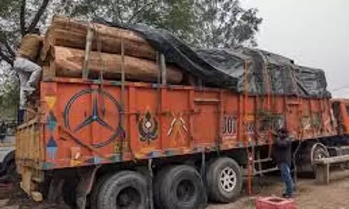MP News: वन विभाग की बड़ी कार्रवाई, भारी मात्रा में अवैध लकड़ी जब्त MP News: वन विभाग की बड़ी कार्रवाई, भारी मात्रा में अवैध लकड़ी जब्त