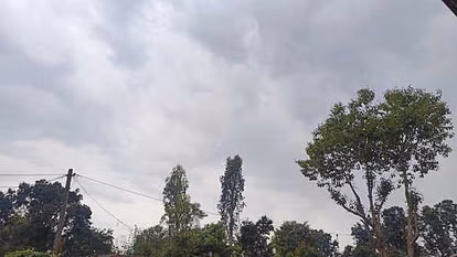 Bareilly: फिर जिले का मौसम बदलेगा , होली पर बारिश की संभावना Bareilly: फिर जिले का मौसम बदलेगा , होली पर बारिश की संभावना