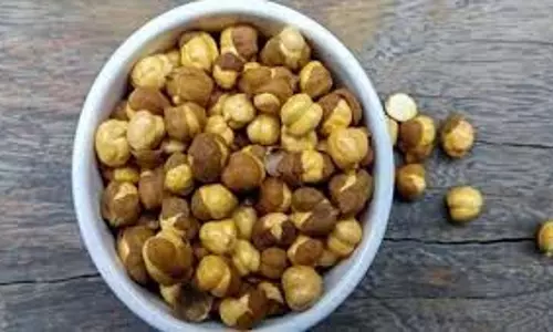 Health: भूलकर भी इन चीजों के साथ न करें भुने चने का सेवन, फायदे के चक्कर में उठाना पड़ेगा भारी नुकसान