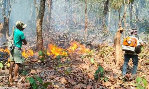 जंगल की आग विकराल रूप धारण कर गंजम के 13 और इलाकों में फैल गई जंगल की आग विकराल रूप धारण कर गंजम के 13 और इलाकों में फैल गई
