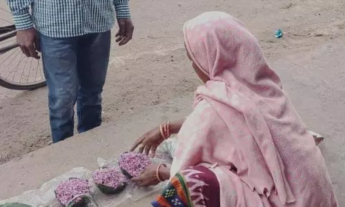 क्योंझर में गिलिरीफुला की मांग बढ़ी