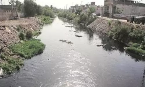 Punjab: बुड्ढा नाले में फैल रहा प्रदूषण, सामने आई ये वजह