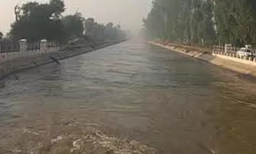 Haryana : नहर में मिली ऐसी चीज, दंग रह गई पुलिस Haryana : नहर में मिली ऐसी चीज, दंग रह गई पुलिस