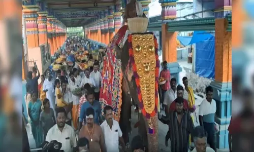 Tamil Nadu : रंग-बिरंगा समयापुरम पूचोरिथल ध्यान खींचता Tamil Nadu : रंग-बिरंगा समयापुरम पूचोरिथल ध्यान खींचता