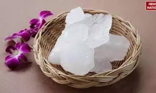 Lifestyle : जानिए फिटकरी से कैसे दूर करें होठों का कालापन, इस्तेमाल का सही तरीका Lifestyle : जानिए फिटकरी से कैसे दूर करें होठों का कालापन, इस्तेमाल का सही तरीका