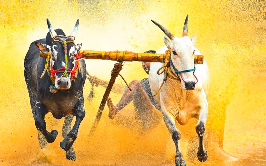 Kerala अप्रैल तक पूरे राज्य में इसका विस्तार करेगा Kerala अप्रैल तक पूरे राज्य में इसका विस्तार करेगा