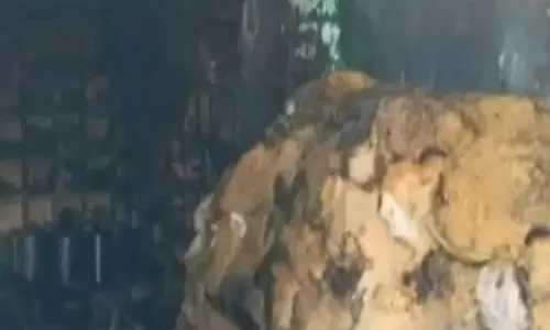 पटाखा गोदाम में आगजनी से 5 लोगों की मौत पटाखा गोदाम में आगजनी से 5 लोगों की मौत