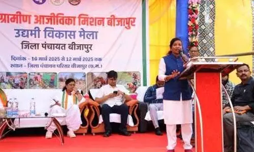 बीजापुर उद्यमी विकास मेला का शुभारंभ