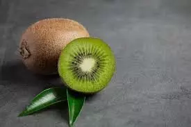 Kiwi Benefits: कीवी गर्मियों में ताजगी देता है और शरीर के लिए फायदेमंद है Kiwi Benefits: कीवी गर्मियों में ताजगी देता है और शरीर के लिए फायदेमंद है