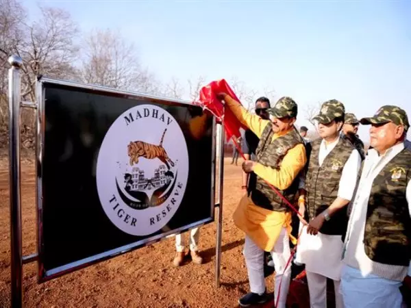मुख्यमंत्री मोहन यादव ने Shivpuri में माधव टाइगर रिजर्व का उद्घाटन किया मुख्यमंत्री मोहन यादव ने Shivpuri में माधव टाइगर रिजर्व का उद्घाटन किया