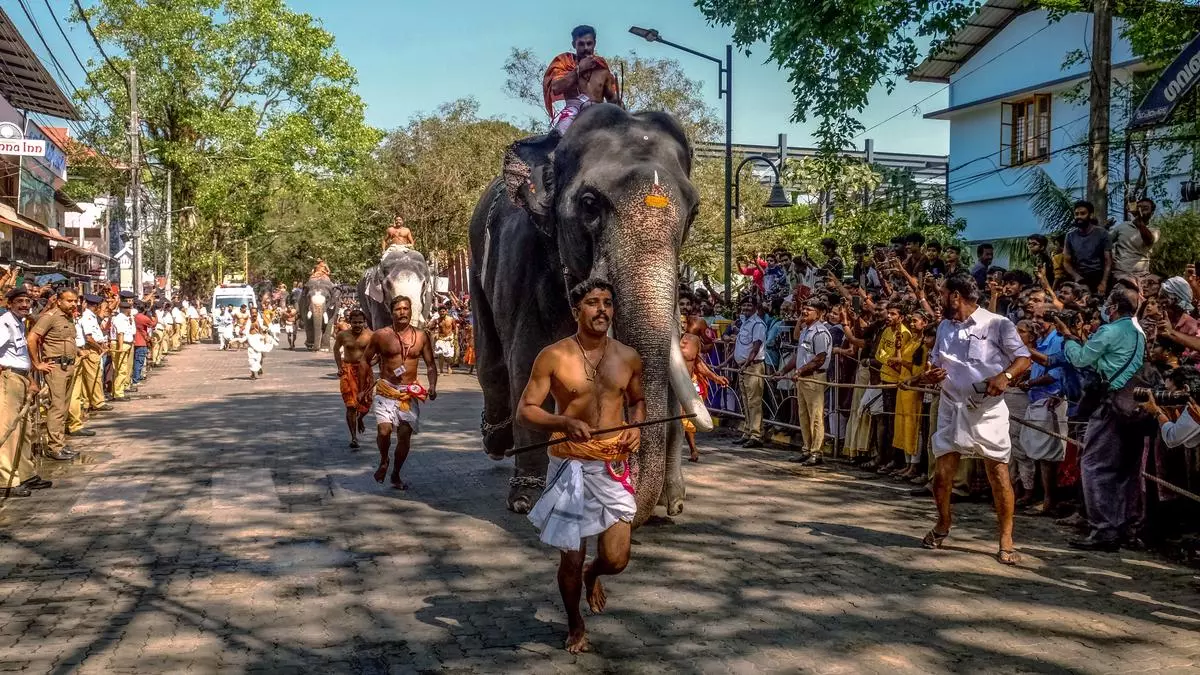 Kerala : टस्कर गुरुवयूर बालू ने गुरुवयूर हाथी दौड़ जीती, जो मंदिर उत्सव की शुरुआत Kerala : टस्कर गुरुवयूर बालू ने गुरुवयूर हाथी दौड़ जीती, जो मंदिर उत्सव की शुरुआत