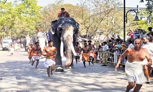 Kerala: गुरुवायुर अनायोत्तम में गुरुवायुर बालू प्रथम