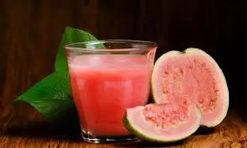 Guava Smoothie Recipe: पेट से जुड़ी समस्याओं के लिए दवा की तरह काम करती है अमरूद की स्मूदी, नोट करें रेसिपी Guava Smoothie Recipe: पेट से जुड़ी समस्याओं के लिए दवा की तरह काम करती है अमरूद की स्मूदी, नोट करें रेसिपी