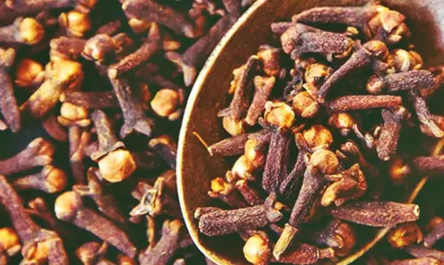 लौंग एक, फायदे अनेक, मसालों से लेकर स्वास्थ्य तक गुणों की है खान लौंग एक, फायदे अनेक, मसालों से लेकर स्वास्थ्य तक गुणों की है खान