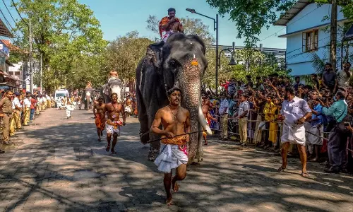 Kerala : टस्कर गुरुवयूर बालू ने गुरुवयूर हाथी दौड़ जीती, जो मंदिर उत्सव की शुरुआत Kerala : टस्कर गुरुवयूर बालू ने गुरुवयूर हाथी दौड़ जीती, जो मंदिर उत्सव की शुरुआत