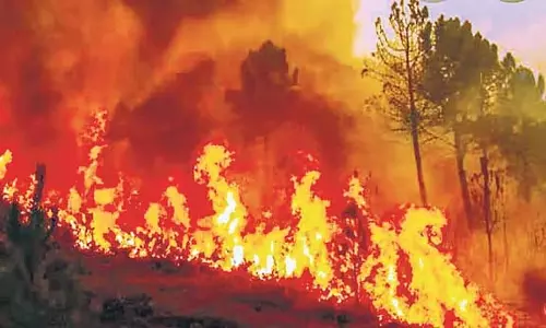 वन विभाग ने Koraput में जंगल की आग से निपटने के प्रयास तेज़ कर दिए