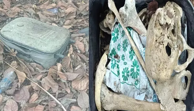Kerala: चर्च के अंदर मिला मानव कंकाल, पुलिस ने शुरू की जांच Kerala: चर्च के अंदर मिला मानव कंकाल, पुलिस ने शुरू की जांच