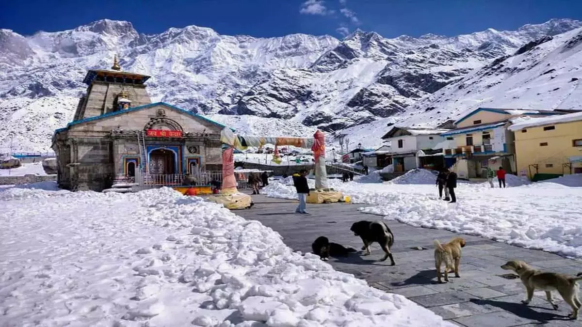 Weather Update : कश्मीर से केदारनाथ तक बर्फबारी Weather Update : कश्मीर से केदारनाथ तक बर्फबारी