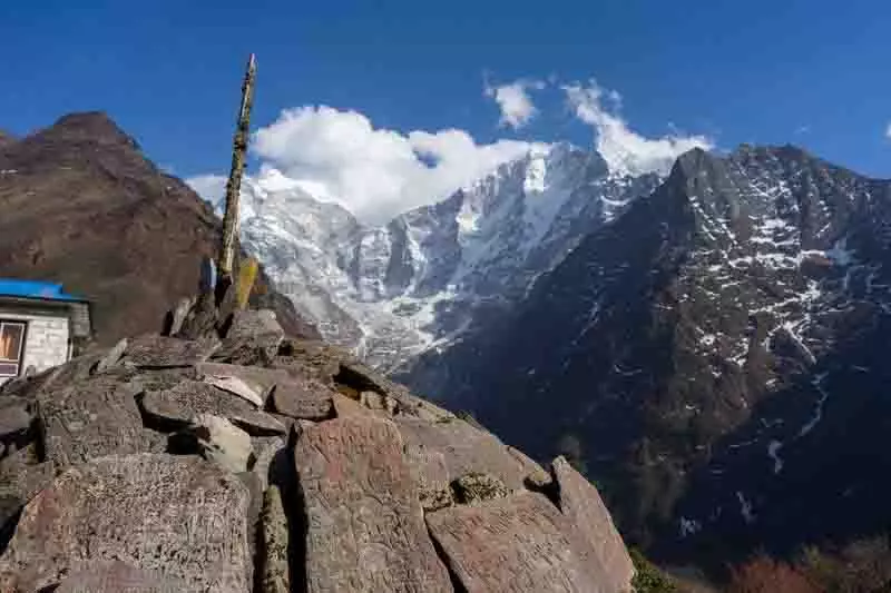Chudhar में क्षत-विक्षत शव मिला, हरियाणा के लापता युवक का होने का अनुमान Chudhar में क्षत-विक्षत शव मिला, हरियाणा के लापता युवक का होने का अनुमान